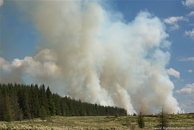 Gorse Fire & Wild Fire Gallery